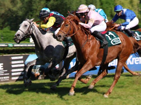 Darling Jay siegt unter Wladimir Panov