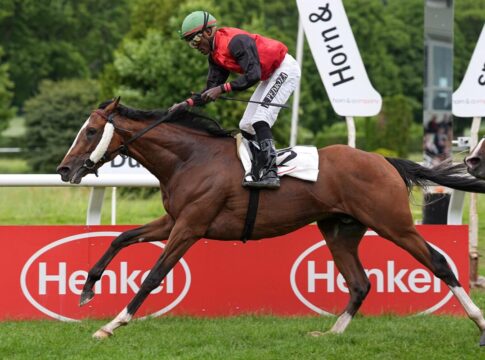 Derby-Wettmarkt: Jetzt stehen Path of Soldier und Delgardo vorne Delgardo siegt unter Eduardo Pedroza im MERKUR SPIELBANKEN Derby Trial, Listenrennen