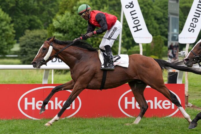 Delgardo siegt unter Eduardo Pedroza im MERKUR SPIELBANKEN Derby Trial, Listenrennen