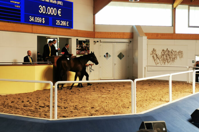 Net Worth im Ring der BBAG Net Worth im Ring der BBAG