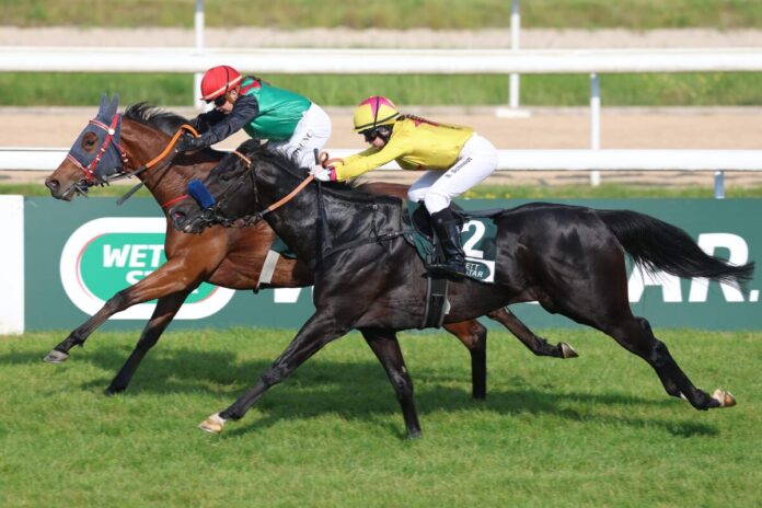 Dream Seeker siegt unter Stefanie Koyuncu