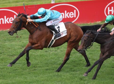 Limit nicht erreicht – Smrczeks Why Limit zurück auf Siegerstraße Why Limit siegt unter Robin Weber