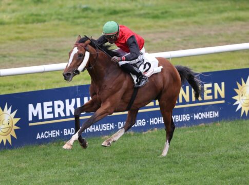 Audi Ascot-Renntag: Klare Sache im Auktionsrennen? Delgardo