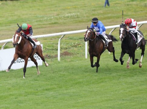Viel Zufriedenheit und die Hamburg-Frage – Trainer-Meinungen nach dem Trial Delgardo siegt unter Eduardo Pedroza im MERKUR SPIELBANKEN Derby Trial, Listenrennen