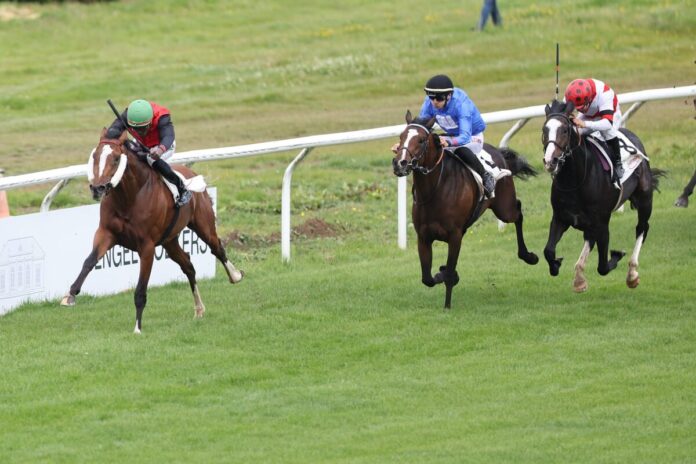 Delgardo siegt unter Eduardo Pedroza im MERKUR SPIELBANKEN Derby Trial, Listenrennen