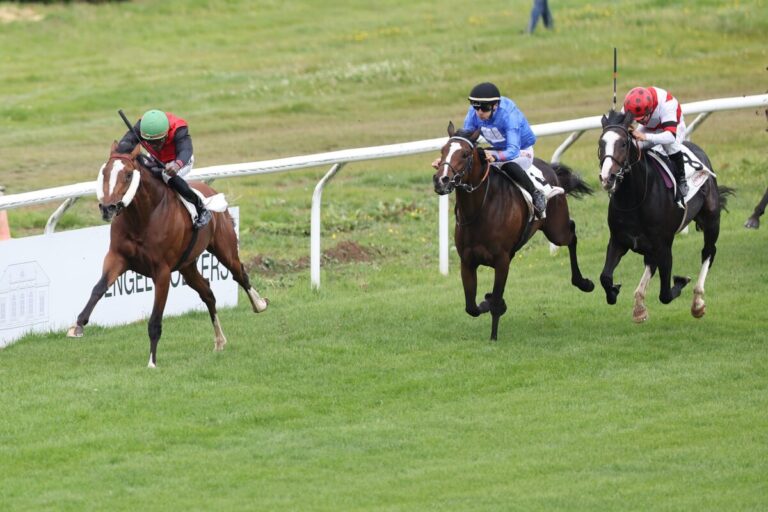 Viel Zufriedenheit und die Hamburg-Frage – Trainer-Meinungen nach dem Trial