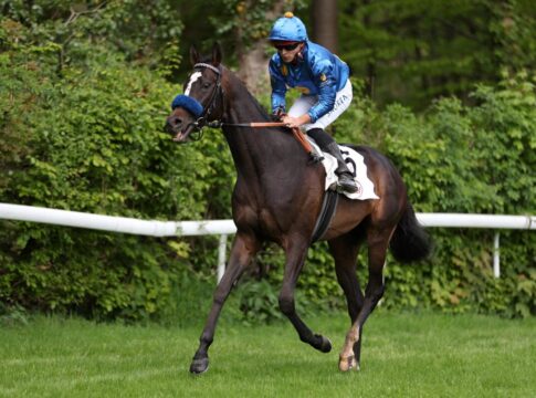 Amico gewinnt für Grewe beim Münchener Auftakt sicher – War es derbyreif? Amico