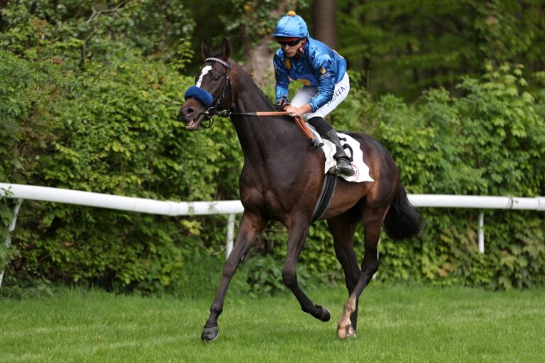 Amico gewinnt für Grewe beim Münchener Auftakt sicher – War es derbyreif?