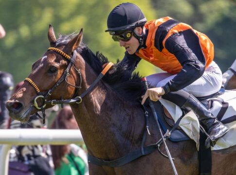 Earl of Lips jetzt auch im Handicap erfolgreich Earl of Lips siegt unter Michal Abik