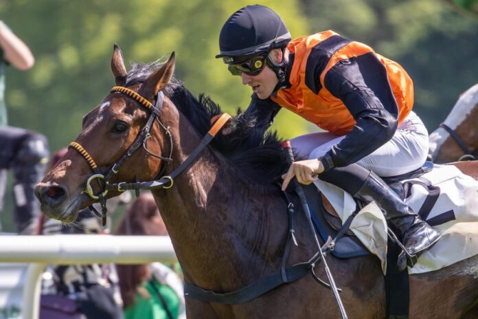 Earl of Lips siegt unter Michal Abik Earl of Lips siegt unter Michal Abik