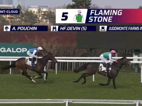 Noch acht in den 1000 Guineas – Harte Nuss Flaming Stone! Flaming Stone