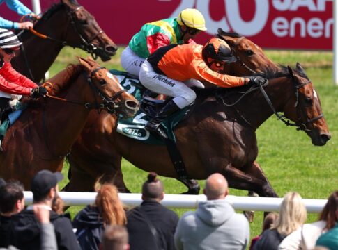 Freak im Premium-Handicap als Jahresdebütant erfolgreich Freak siegt unter Rene Piechulek