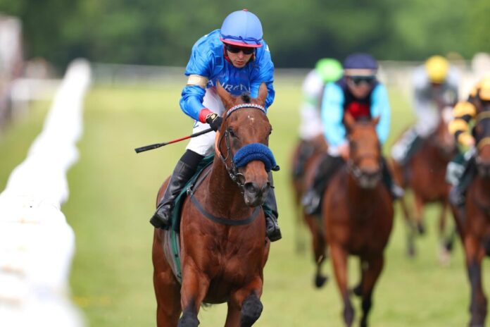 Glady Tiger siegt unter Thore Hammer-Hansen