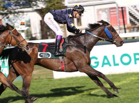 Endlich der erste Deutschlandsieg für Golden Passport Golden Passport siegt unter Bertrand Flandrin