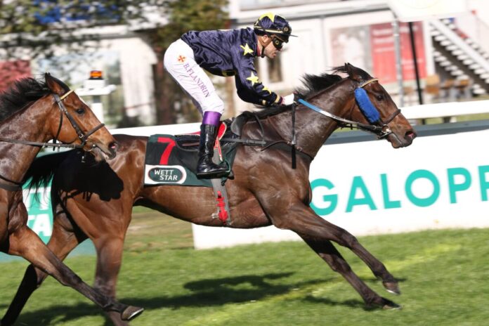 Golden Passport siegt unter Bertrand Flandrin