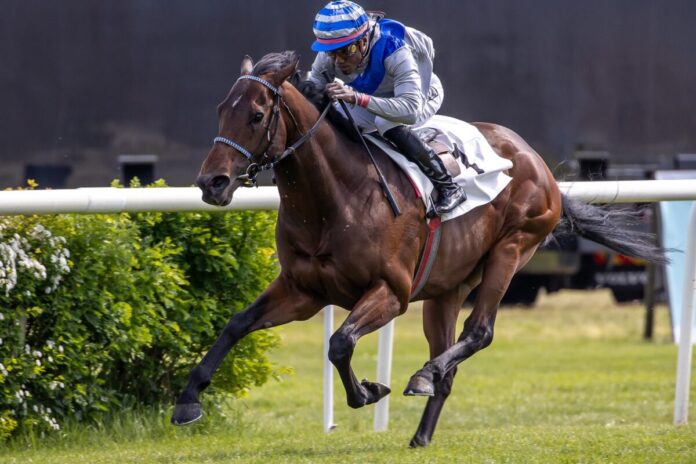 Switsch siegt unter Eduardo Pedroza