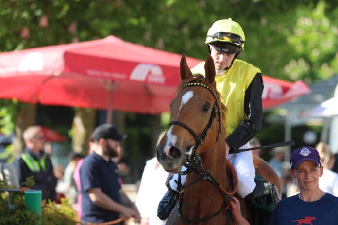 Itabuna siegt unter Leon Wolff Itabuna siegt unter Leon Wolff