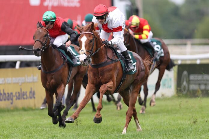 Laxxio siegt unter Rene Piechulek