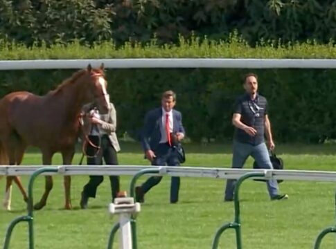 Der Grund für die Leistung von Lifetimes: Zunge über Gebiss gelegt Lifetimes