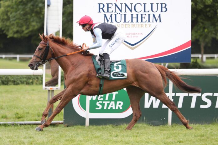 Lili Marleen siegt unter Thore Hammer-Hansen