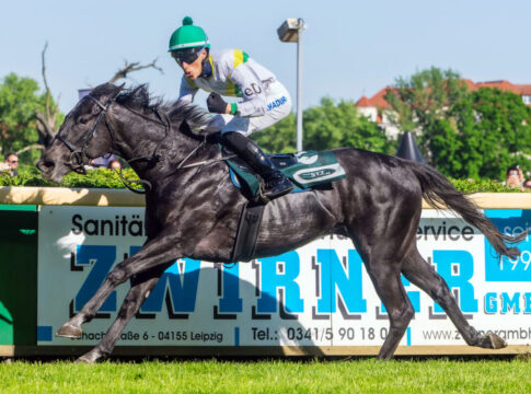 "Slowaken-Pfeil" Loch Swan ein Pferd für die deutschen Black Type-Rennen? Loch Swan siegt in Leipzig Foto: Sorge
