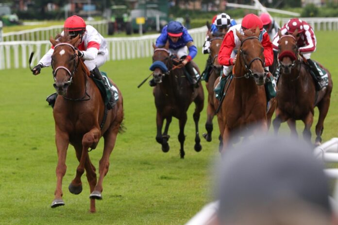 Lordano siegt unter Rene Piechulek im WETTSTAR.de Gro§er Hansa-Preis 2024