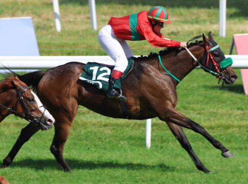 Toto fällt um, Dreierwette nicht getroffen – Maharani im Amateur Cup Maharani siegt unter Ulrike Timmermann