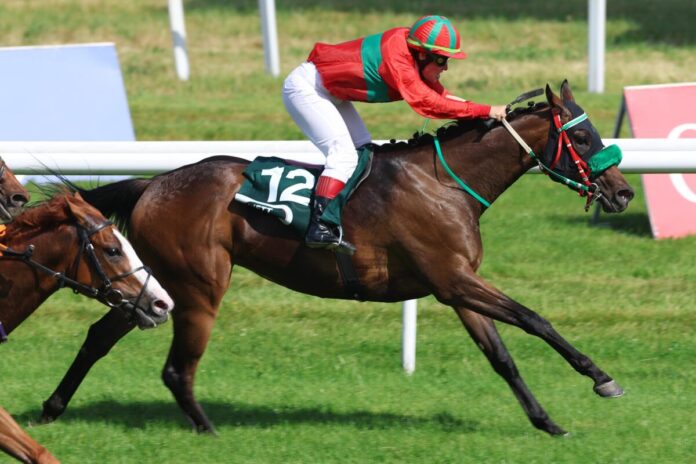 Maharani siegt unter Ulrike Timmermann