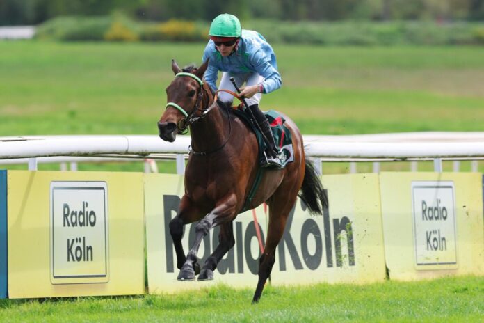 Matilda siegt unter Thore Hammer-Hansen