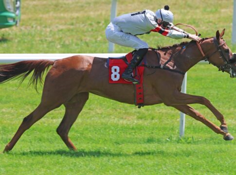 Neun Vorstarterinnen im Diana-Trial – Zweimal Option Oaks d’Italia Meeresbrise siegt unter Leon Wolff