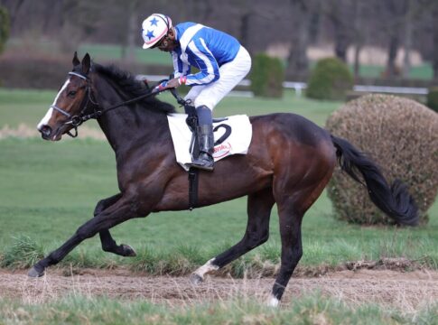 Trendbarometer zu 2000 Guineas - Zwei kleine Überraschungen! Mehmas Champion