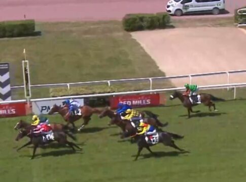 Grewe-Neuzugang Motion Dritter im Quinte-Handicap Motion