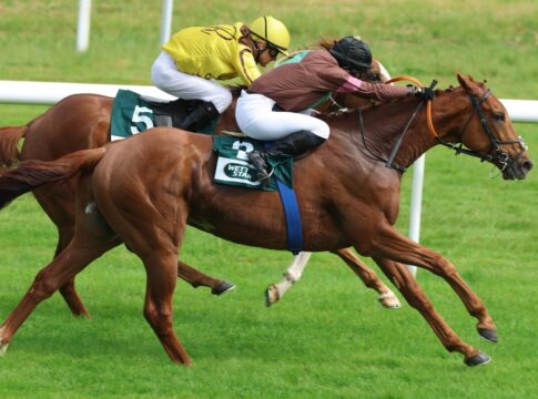 Nairo boxt Rocky weg – Nina Baltromei vom letzten Platz Nairo siegt unter Nina Baltromei