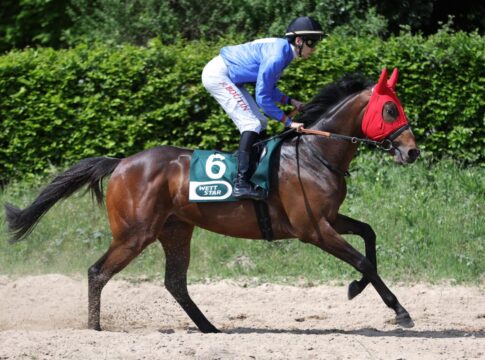 Name Lord nachgenannt – Wohl neun Starter im Derby-Trial Name Lord