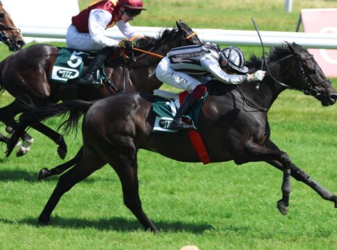 Der Sieg der großen Emotionen – North Hunter mit zehn Jahren North Hunter siegt unter Andrea Ricupa