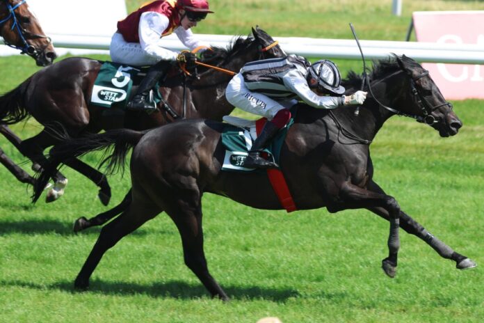 North Hunter siegt unter Andrea Ricupa