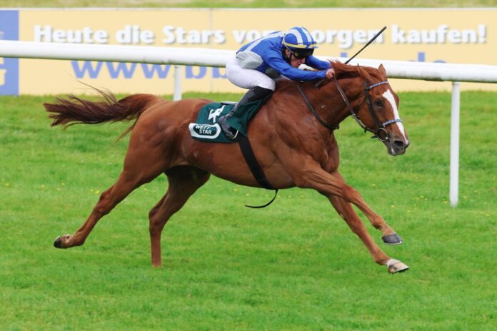 Northern Olympian siegt unter Tomas Roman