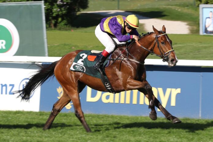 Okiedokie siegt unter Bayarsaikhan Ganbat