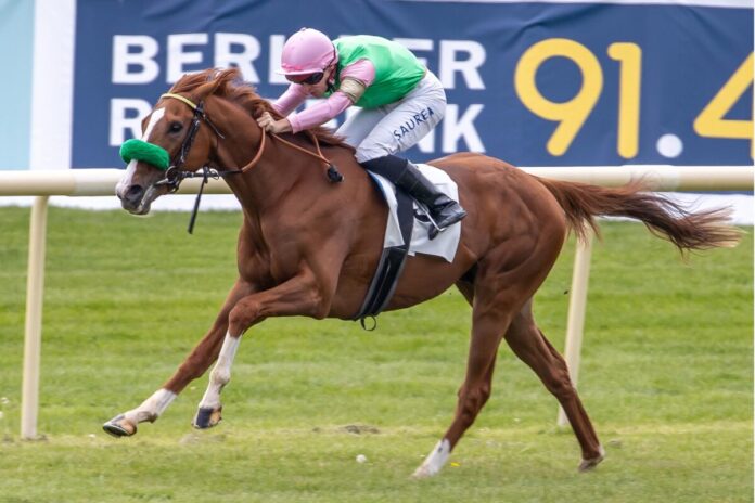 Pasand siegt unter Thore Hammer-Hansen Pasand siegt unter Thore Hammer-Hansen