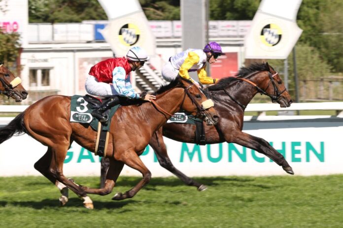 Path of Soldier siegt unter Eddy Hardouin im WETTSTAR.de - Bavarian Classic, Gr. 3