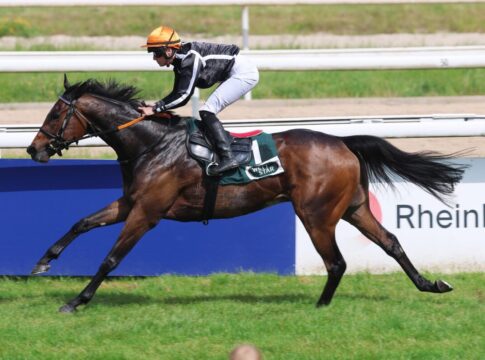 36. Großer Preis der Wirtschaft eine offene Angelegenheit Petit Marin siegt