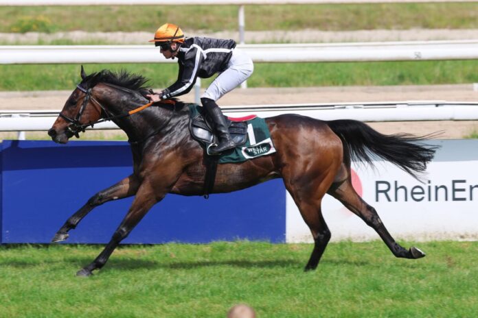 Petit Marin siegt Petit Marin siegt