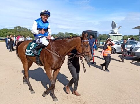 Sieg gegen Tamino - Pik Dame ist Trumpf in Favoriten-Zweierwette Pik Dame