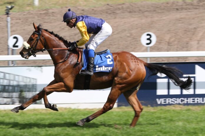 Rex Carver siegt unter Alexander Pietsch