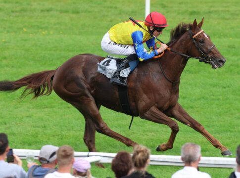 Royal Spirit krönt den Tag – Adrie de Vries mit 15 Siegen im Mai! Royal Spirit