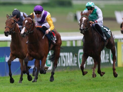 Santagada jetzt bei 93,5 Kilo - Lady Ilze macht den größten Sprung Santagada siegt unter Leon Wolff im Karin Baronin von Ullmann - Schwarzgold-Rennen