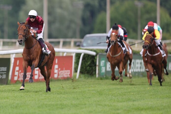 Schiergen siegt unter Leon Wolff