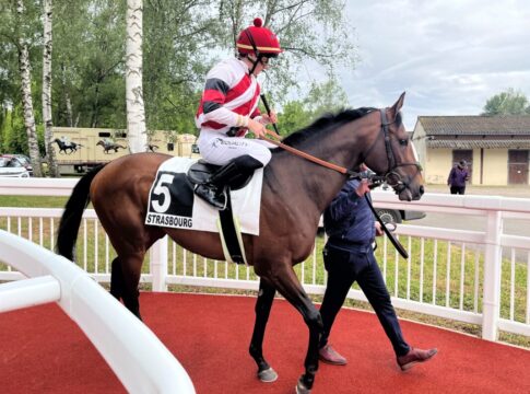 1,2:1 - Derbykandidat Sedano souverän zum Classe 2-Sieg Sedano