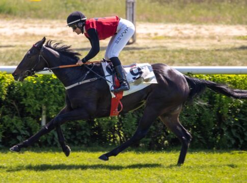 Solo-Lauf von Solo Sunny – Engels mit zweitem Sieg Solo Sunny siegt unter Lilli-Marie Engels