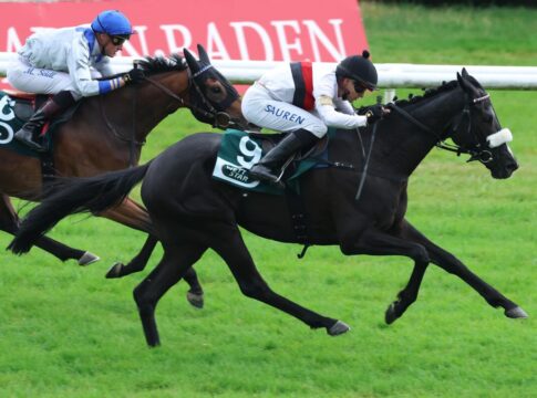 Sommerberger im Frühjahr – Erster Sieg auf der Grasbahn! Sommerberger siegt unter Thore Hammer-Hansen